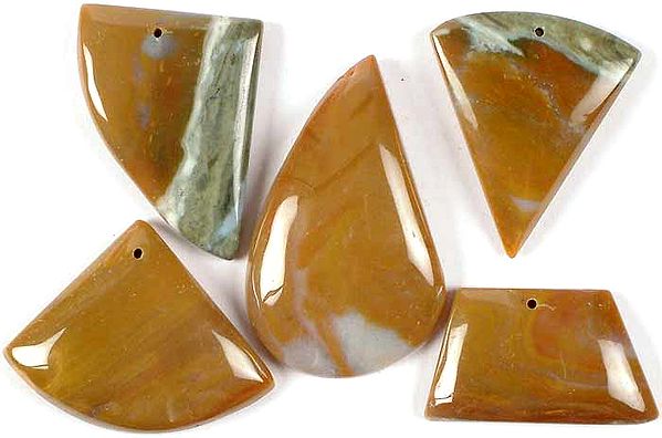 Lot of Five Agate Cabochons(Both Side & Top Drilled)
