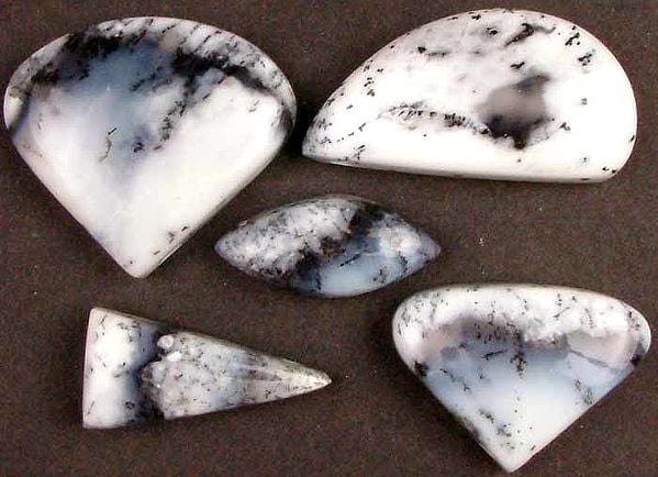 Lot of Five Dendrite Opal Side Drilled Cabochons