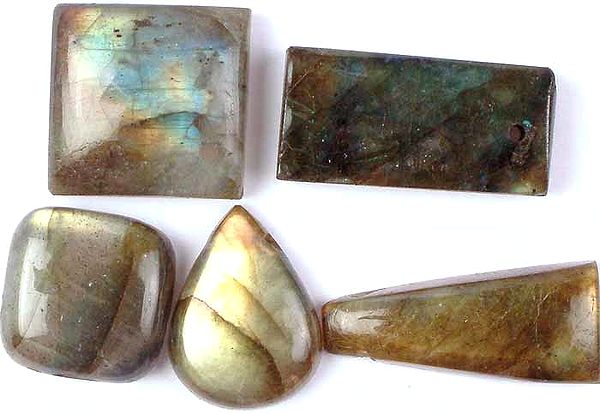 Lot of Five Labradorite Cabochons (Both Side and Top Drilled)