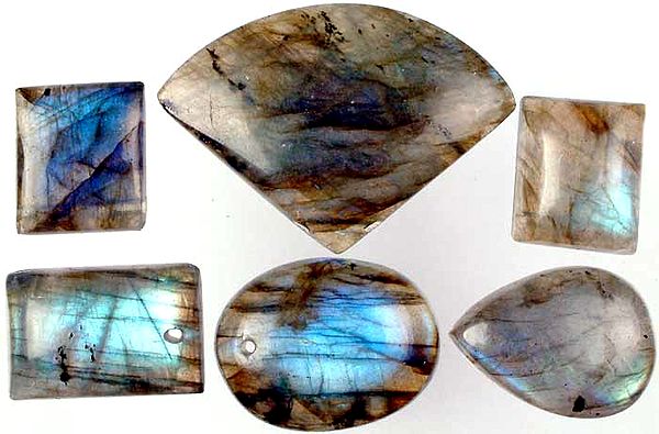 Lot of Five Labradorite Drilled Cabochons