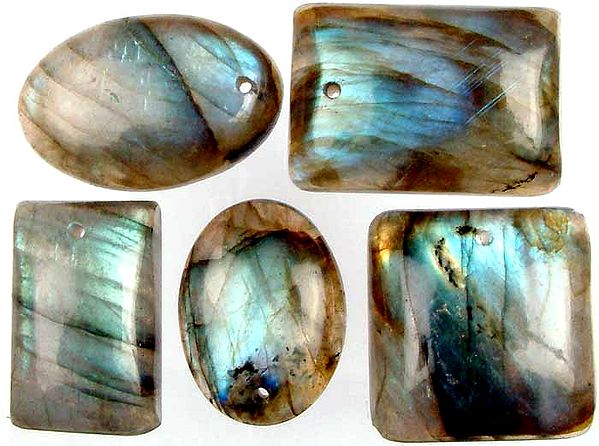 Lot of Five Labradorite Top Drilled Cabochons