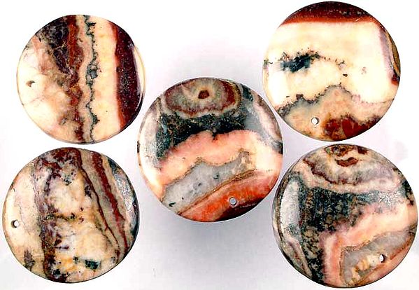 Lot of Five Picture Jasper Drilled Cabochons