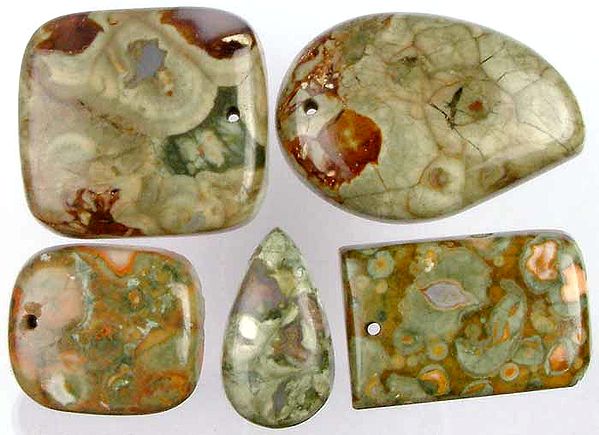 Lot of Five Picture Jasper Top Drilled Cabochons