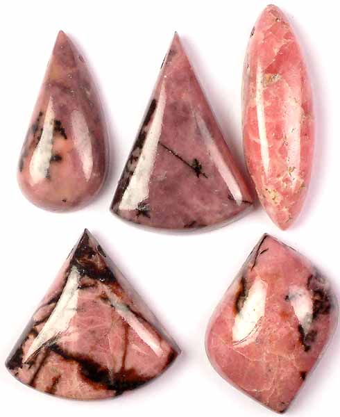 Lot of Five Side Drilled Rhodonite Cabochons