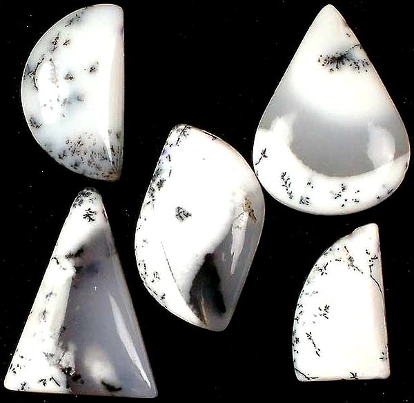 Lot of Five Side-Drilled Dandruf Opal Cabochons