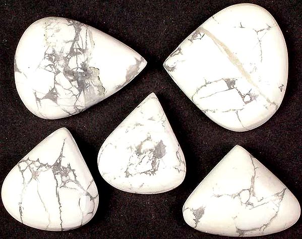 Lot of Five Side-Drilled Howlite Cabochons