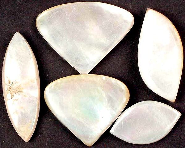 Lot of Five Side-Drilled Mother of Pearl Cabochons