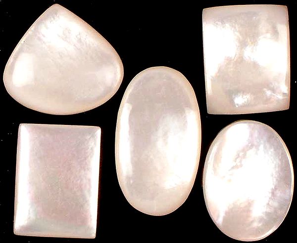 Lot of Five Side-Drilled Shell Cabochons