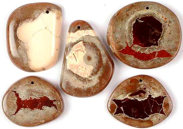 Lot of Five Top-Drilled Agate Cabochons