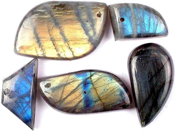 Lot of Five Top-Drilled Labradorite Cabochons