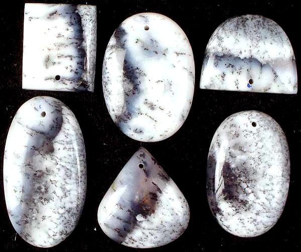 Lot of Six Top-Drilled Dendrite Opal Cabochons