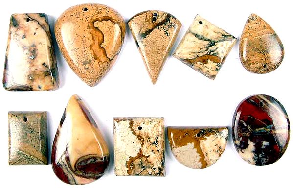 Lot of Ten Picture Jasper Cabochons (Both Side & Top Drilled)