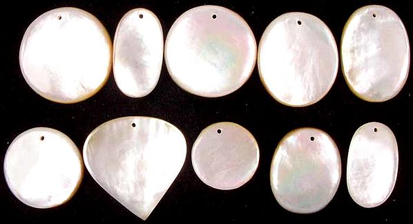 Lot of Ten Shell Cabochons (All Top-Drilled)