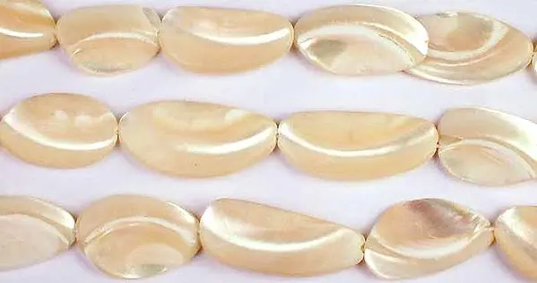 Trochid Shell Beads | Semi-Precious Gemstone Drops