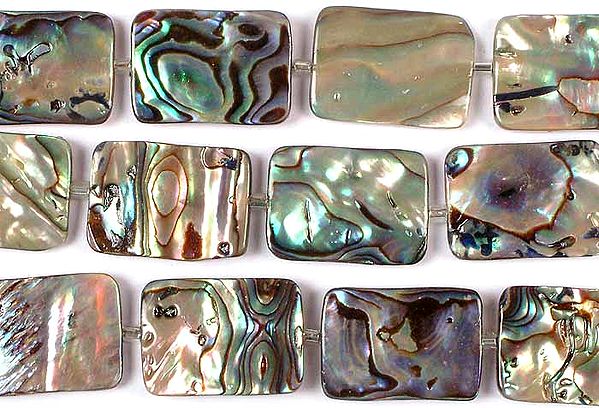 Abalone Rectangles