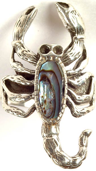 Abalone Scorpion Ring
