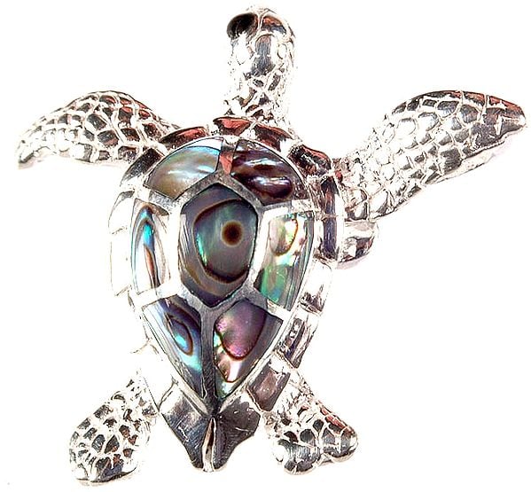 Abalone Tortoise Pendant | Exotic India Art