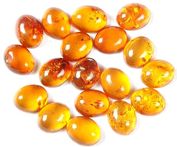 Amber Cabochons (Price Per Four Pieces)