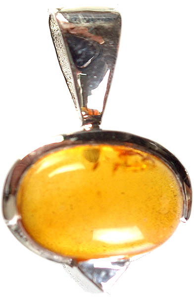 Amber Oval Pendant