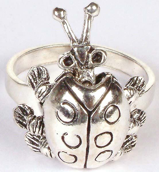 Beetle Ring