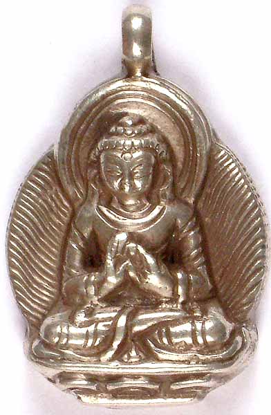 Buddha in the Dharma Chakra Mudra
