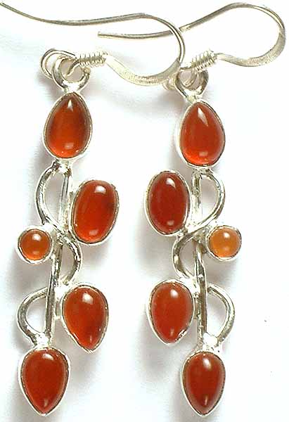 Carnelian Earrings