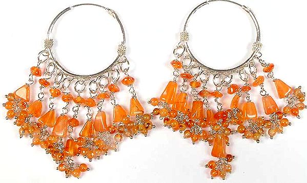 Carnelian Hoops