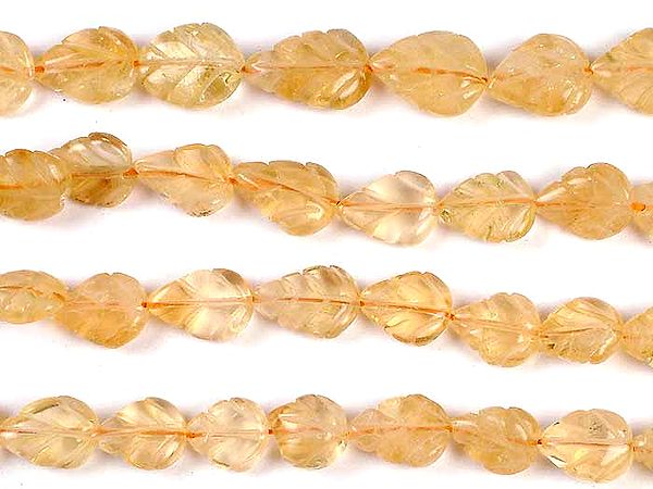 Carved Citrine Straight Drilled Leaves