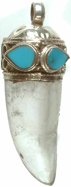 Crystal Claw with Turquoise Pendant