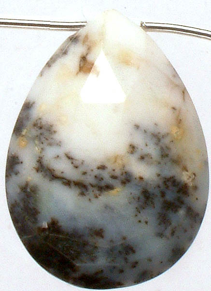Dendrite Opal Faceted Briolette