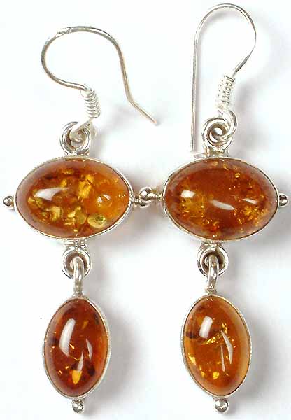 Double stone Amber Earrings