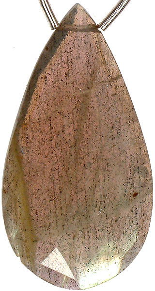 Faceted Labradorite Briolette (Price Per Piece)