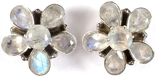 Faceted Rainbow Moonstone Post Earrings