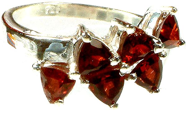Fine Cut Garnet Ring