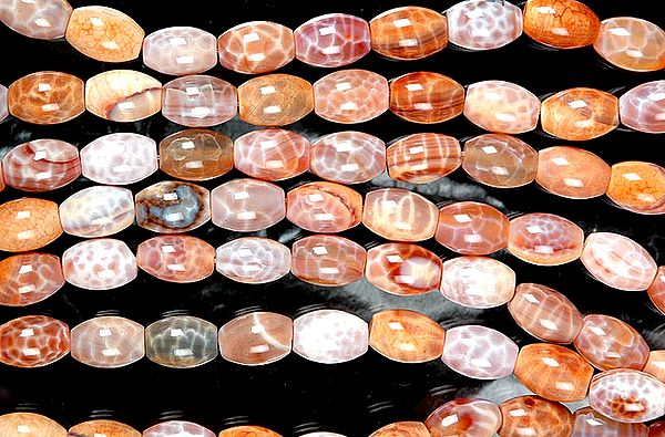 Fire Agate Drums