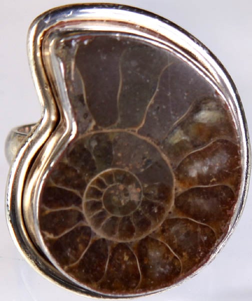 Fossil Finger Ring