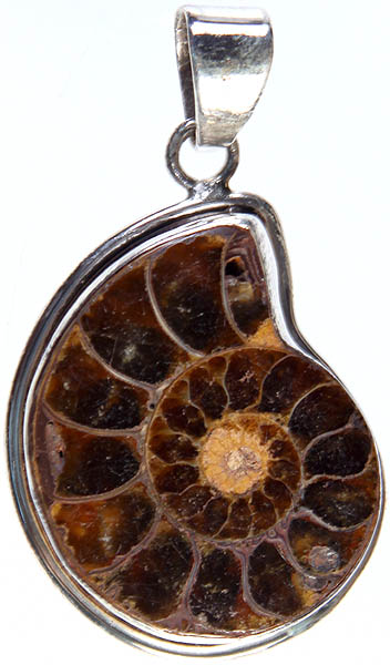Fossil Pendant