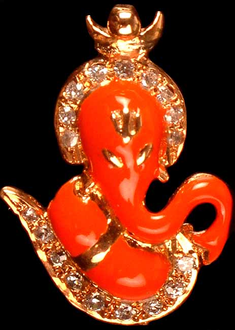 Ganesha in Om