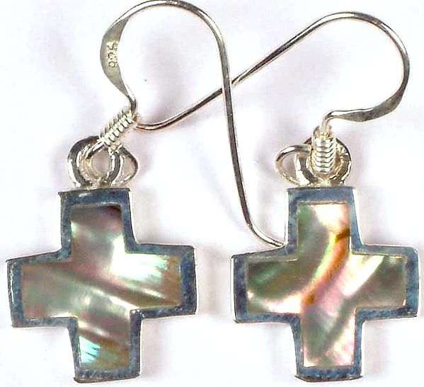 Inlay Abalone Earrings