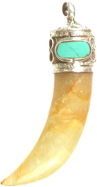 Jade Claw Pendant with Turquoise