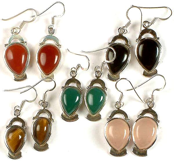 Lot five Gemstone Earrings<br>(Carnelian, Black Onyx, Green Onyx, Tiger Eye, & Rose Quartz)