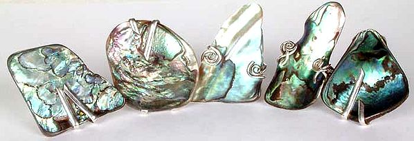 Lot of Five Abalone Rings