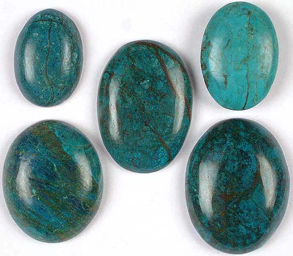 Lot of Five Chrysocola Undrilled Cabochons