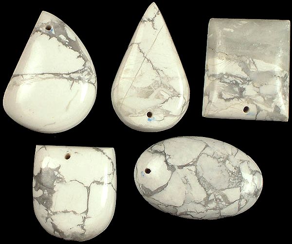 Lot of Five Drilled Dendrite Opal Cabochons