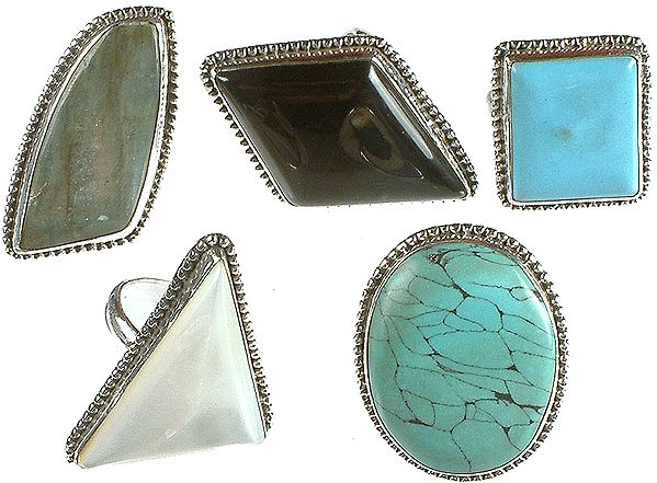 Lot of Five Gemstone Rings (Labradorite, Black Onyx, Turquoise, Shell and Spider's Web Turquoise)
