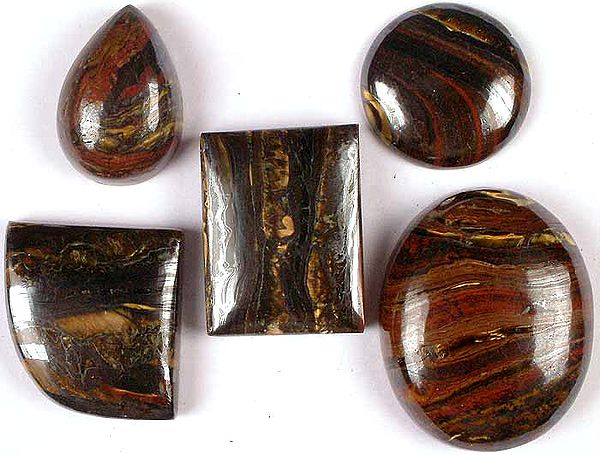 Lot of Five Iron Tiger Eye Undrilled Cabochons