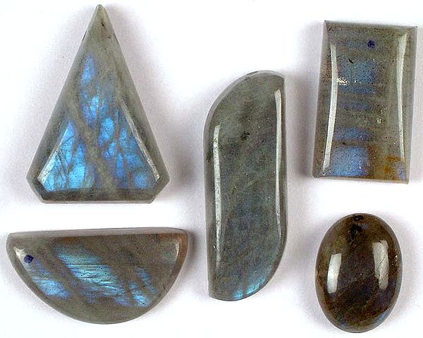 Lot of Five Labradorite Undrilled Cabochons