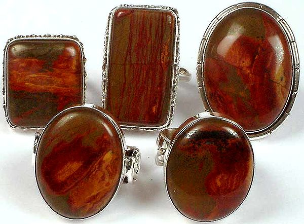 Lot of Five Picture Agate Rings