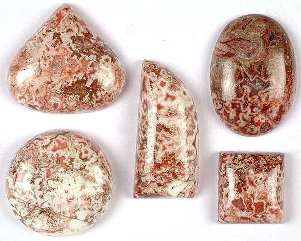 Lot of Five Picture Agate Undrilled Cabochons