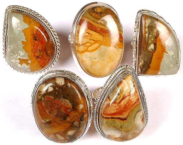 Lot of Five Picture Jasper Rings